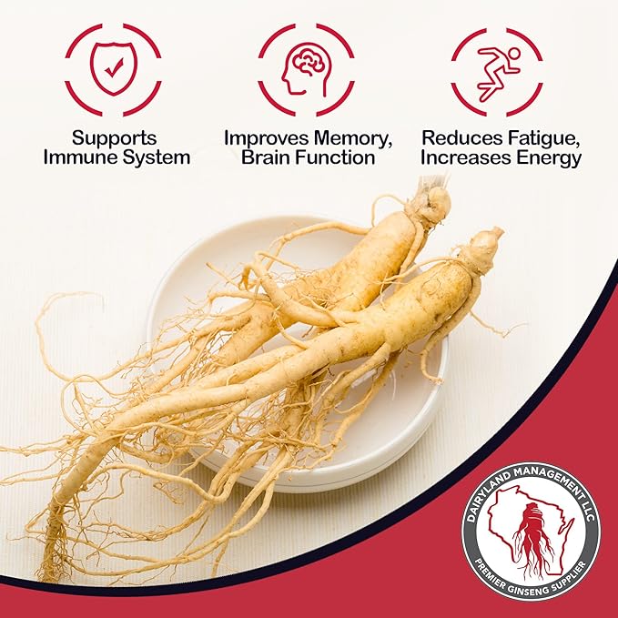 Dairyland Fresh American Ginseng Roots, 8 oz Fresh Wisconsin Ginseng, Direct from The Farmer to The Consumer, Premium Quality Ginseng