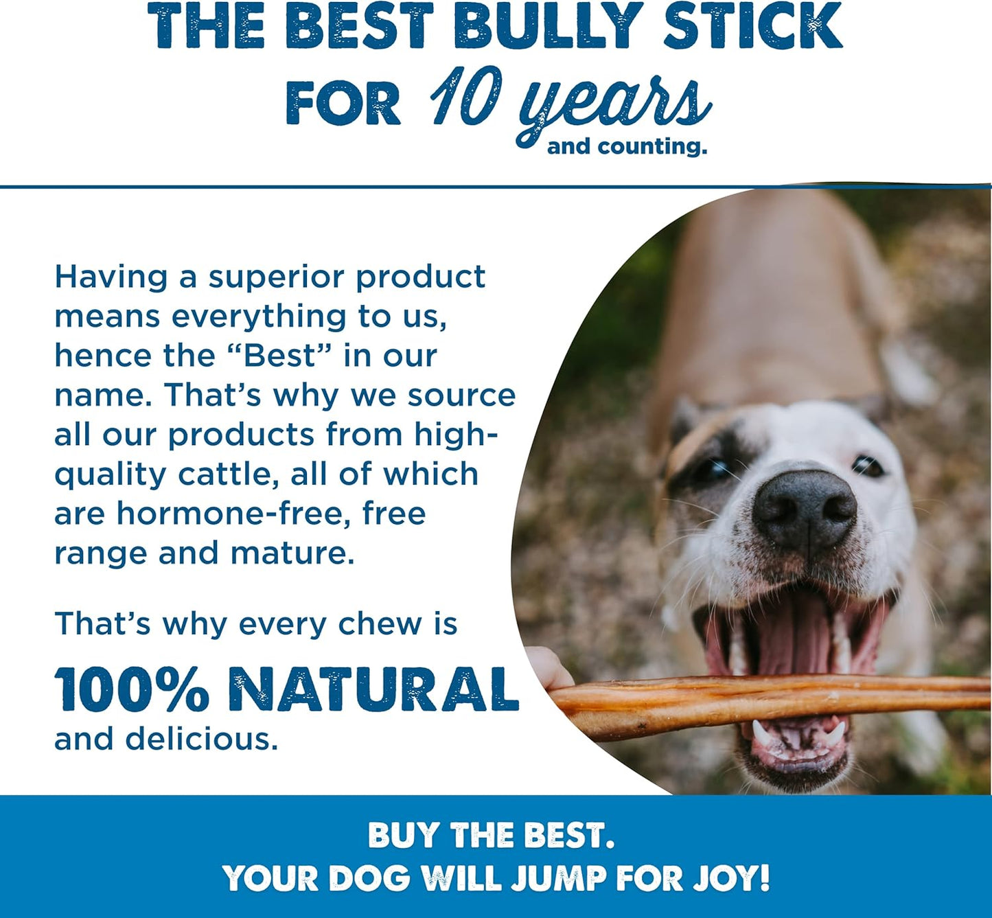 Best Bully Sticks 12 Inch Bully Sticks for Dogs - 3 Count (Pack of 1) - Natural, Easily Digestible, 100% Grass-Fed Beef, Grain and Rawhide Free - Trial Size