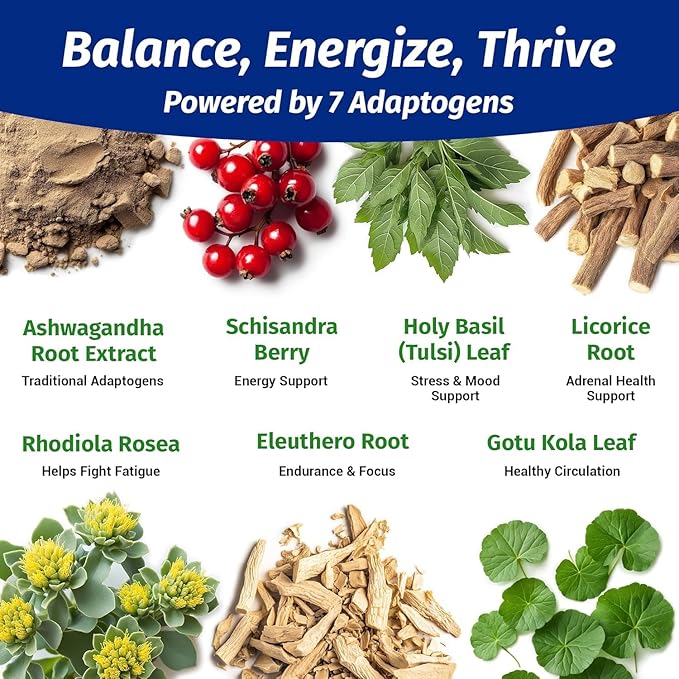 1 Body Ashwagandha Complex Supplement, Focus and Energy Support, 120 Vegan Capsules