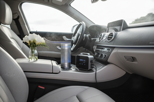 How to Eliminate Car Odors Permanently