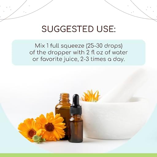Rhodiola B120 Alcohol-Free Herbal Extract Tincture, Concentrated Liquid Drops Natural Rhodiola (Rhodiola Rosea) Dried Root (4 fl oz)