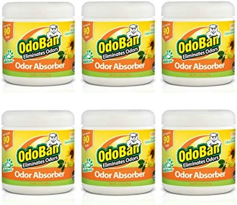 OdoBan Solid Odor Absorber Eliminator for Home and Small Spaces, Citrus Scent, 14 Ounces Each, 6-Pack