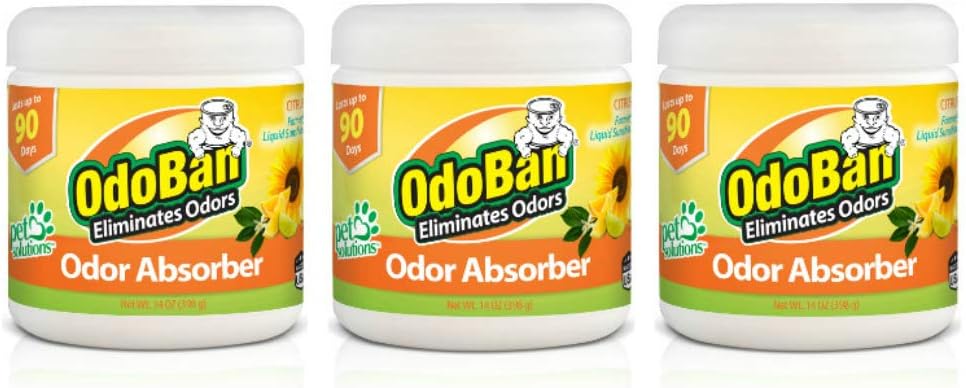 OdoBan Solid Odor Absorber Eliminator for Home and Small Spaces, Citrus Scent, 14 Ounces Each, 3-Pack