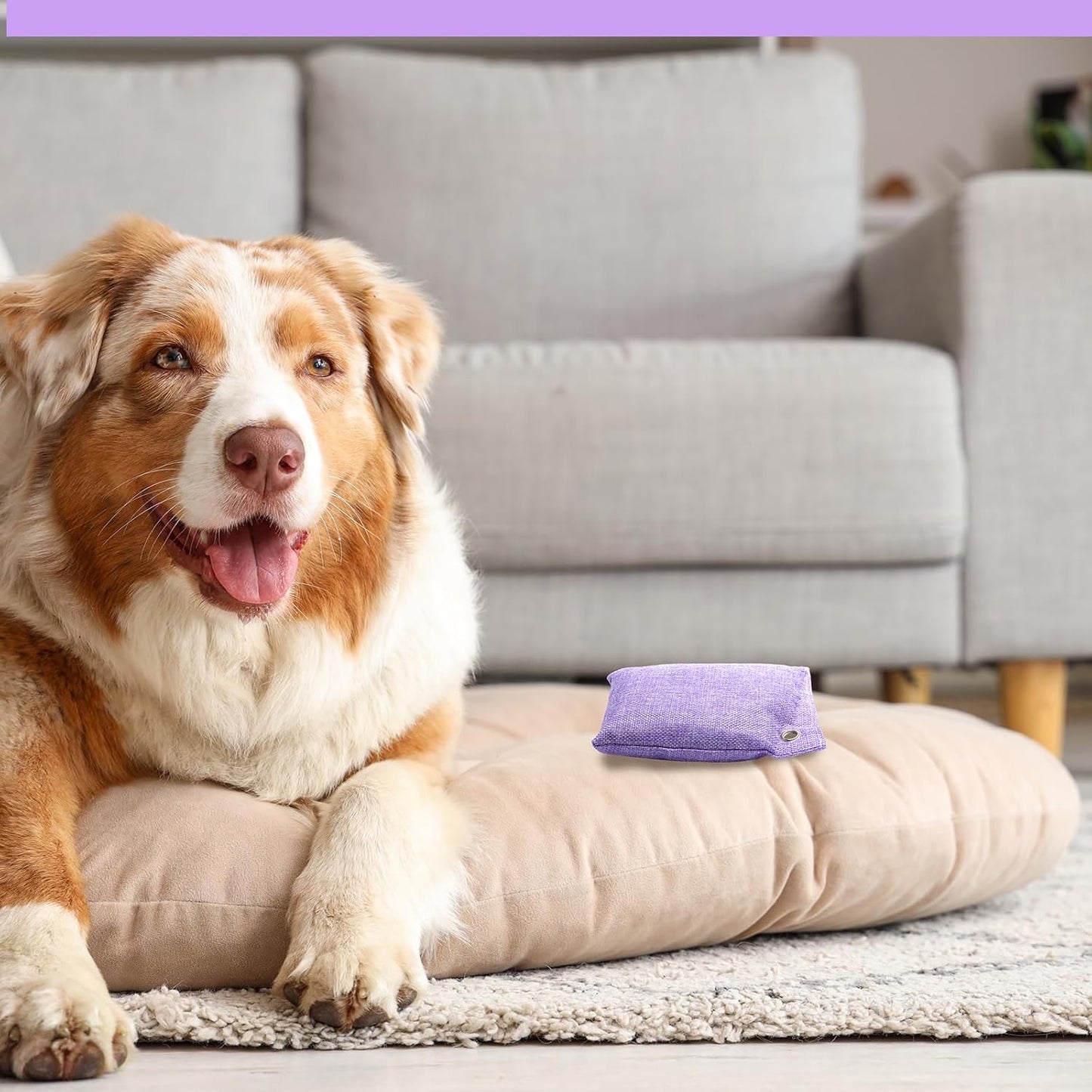 Nuanchu 24 Pcs Activated Charcoal Odor Absorber 50g/100g/200g, Air Purifying Bamboo Charcoal Bags, Natural Shoe Odor Absorber, Deodorizer Absorbers for Fresh Car Home Closet Pet Basement Smell(Purple)