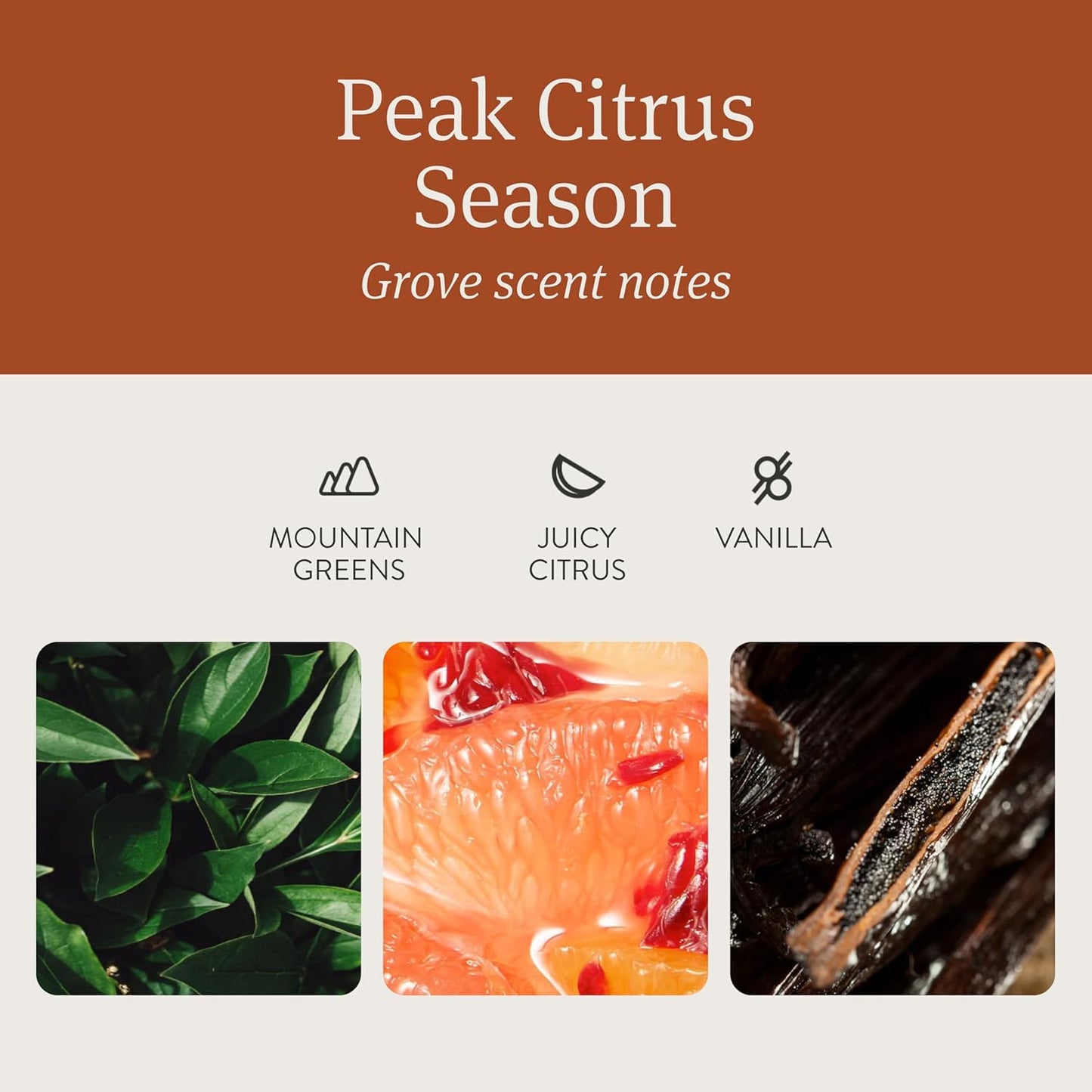 Drift Car Air Freshener - Wooden Deodorizer - Vehicle Odor Remover - Auto Scent Diffuser - Long-Lasting Car Freshening - Grove Scent Refill - Pack of 3 - NO CLIP INCLUDED