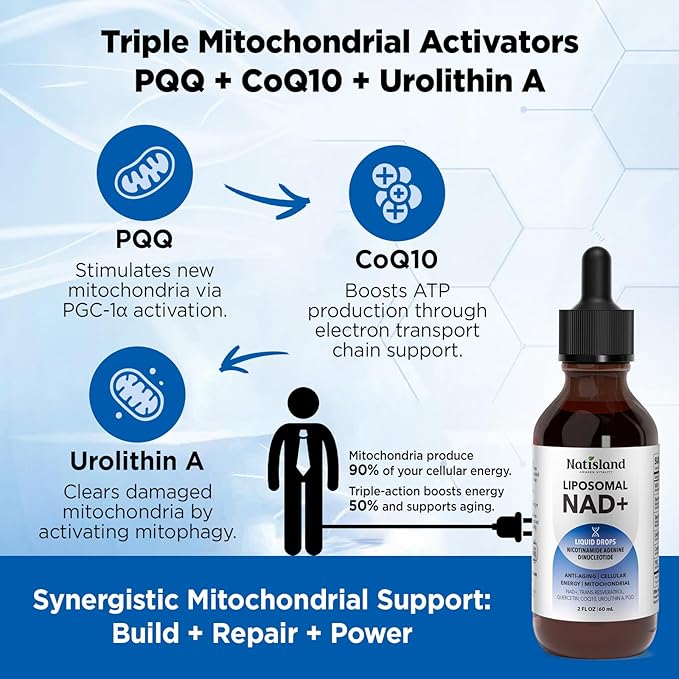 Liposomal NAD Supplement, 1000mg NAD+ Liquid Drops for Women & Men, with Resveratrol, Urolithin A, Quercetin, CoQ10 & PQQ, for Cellular & Metabolism Health, Energy & Anti-Aging, 2 Fl Oz
