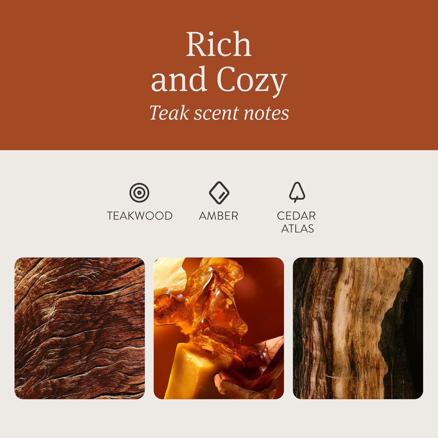 Drift Car Air Freshener - Wood Air Freshener - Car Odor Eliminator - Teak Scent Starter Kit