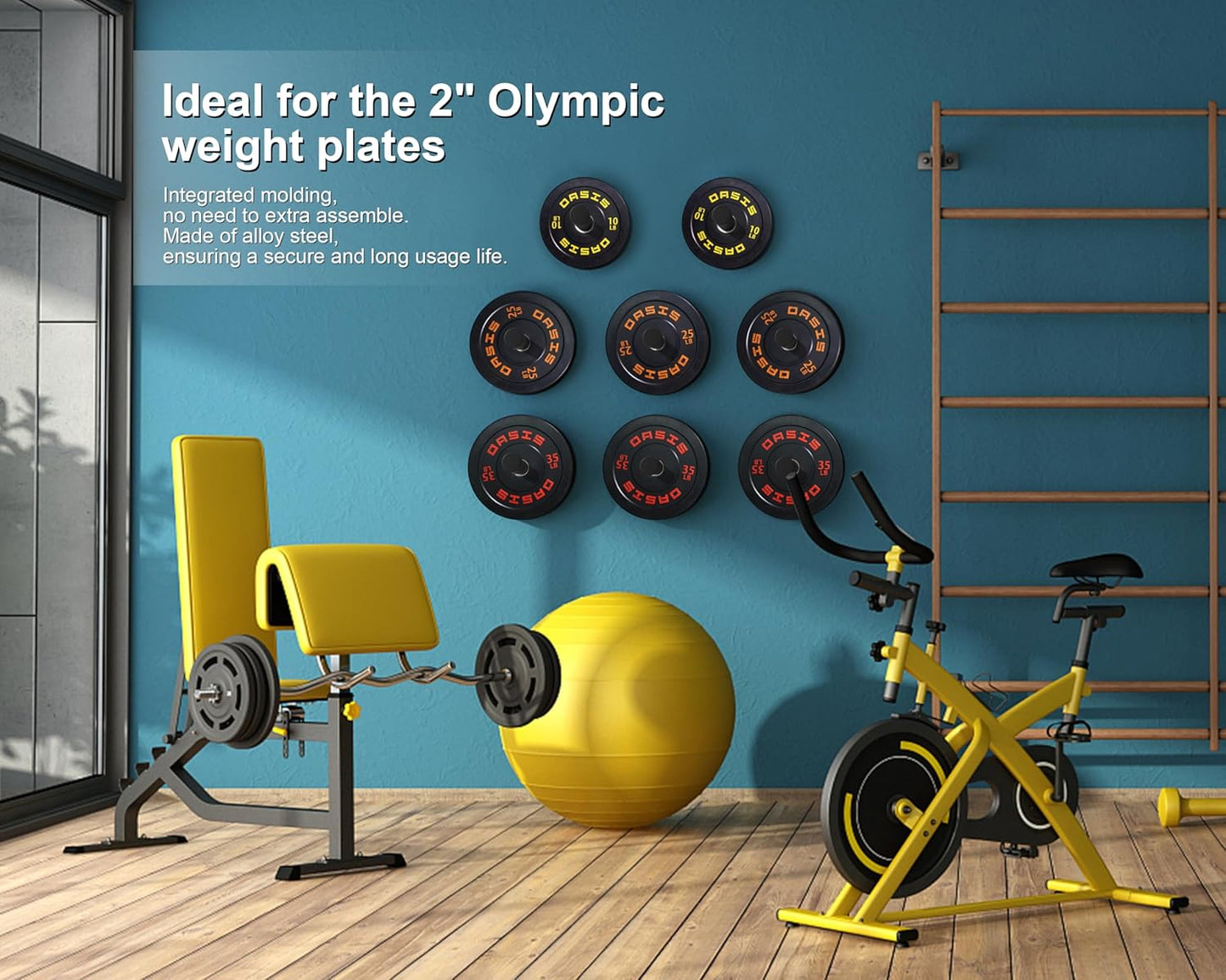 Weight Plate Holder, Wall Mounted Weight Rack Storage for Weight Plates, Home Gym Organizer
