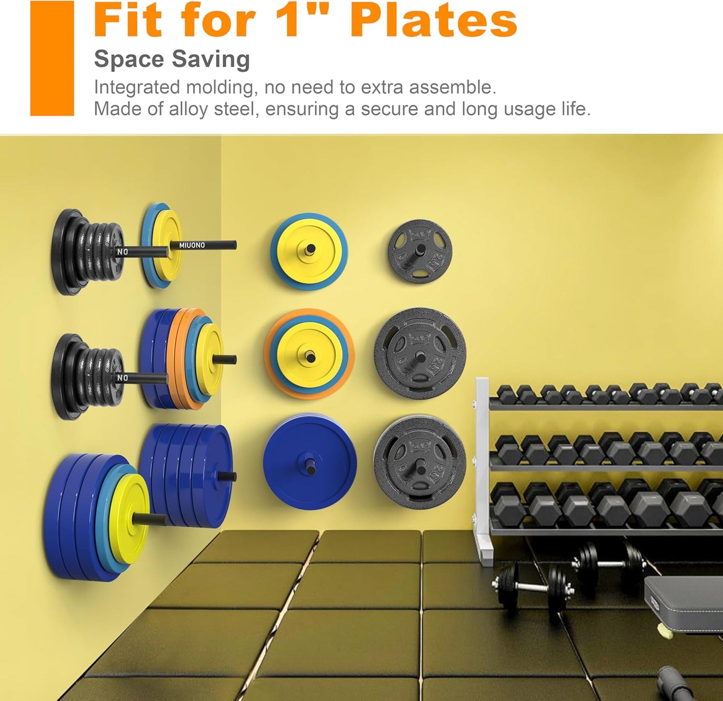 Weight Plate Holder, Wall Mounted Weight Rack Storage for Weight Plates, Home Gym Organizer
