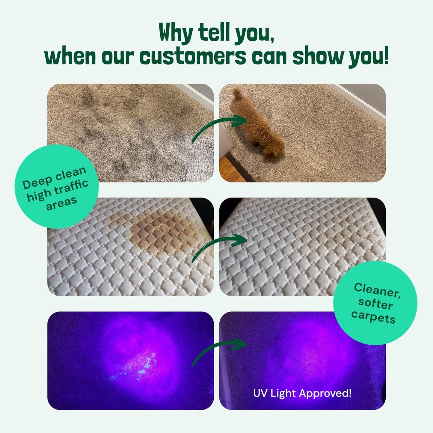 Sunny & Honey Carpet Shampoo & Cleaning Solution - 32 Fl Oz Spring Mint Scent - Pet Carpet Cleaner Machine Solution - Rug & Upholstery Cleaner - Stain Remover & Odor Deodorizer