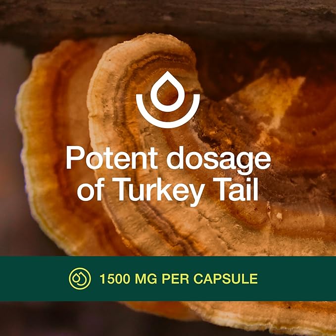 Fresh Nutrition Organic Turkey Tail Mushroom Extract Supplement - High in Beta Glucans – Non-GMO, Vegan Friendly, Gluten-Free - 90 Capsules