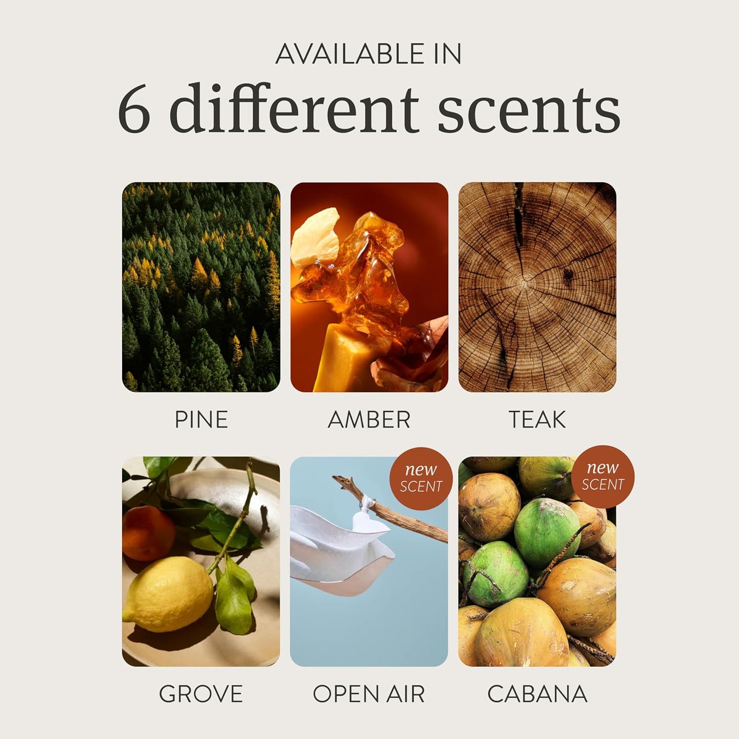 Drift Car Air Freshener - Wood Fragrance - Automotive Odor Eliminator - Car Fresheners Long Lasting - Variety 3 Pack - CLIP INCLUDED