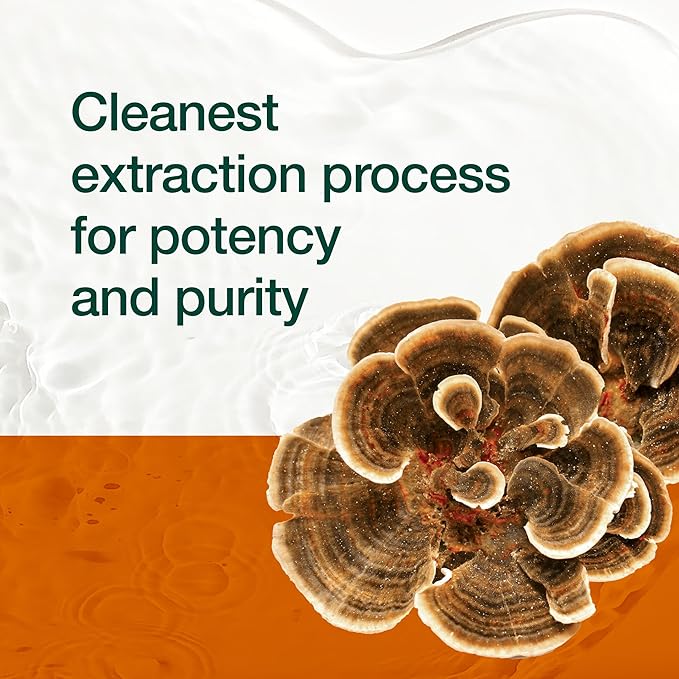 Fresh Nutrition Organic Turkey Tail Mushroom Extract Supplement - High in Beta Glucans – Non-GMO, Vegan Friendly, Gluten-Free - 90 Capsules