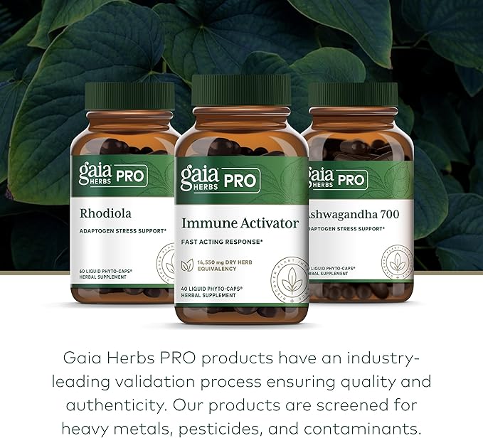 Gaia Herbs Pro Immune Activator - Immune Support Supplement - Features Echinacea, Ginger Root, Elderberry & Andrographis - Vegan, Dairy-Free & Gluten-Free - 40 Liquid Phyto-Caps (20 Servings)