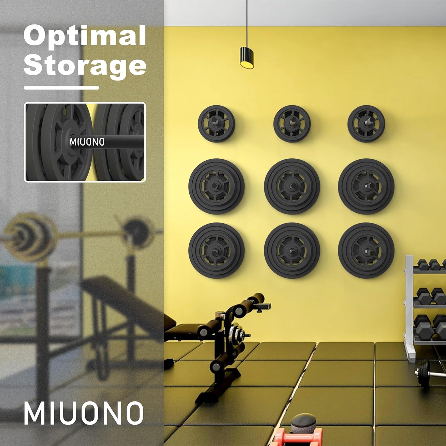 Weight Plate Holder, Wall Mounted Weight Rack Storage for Weight Plates, Home Gym Organizer