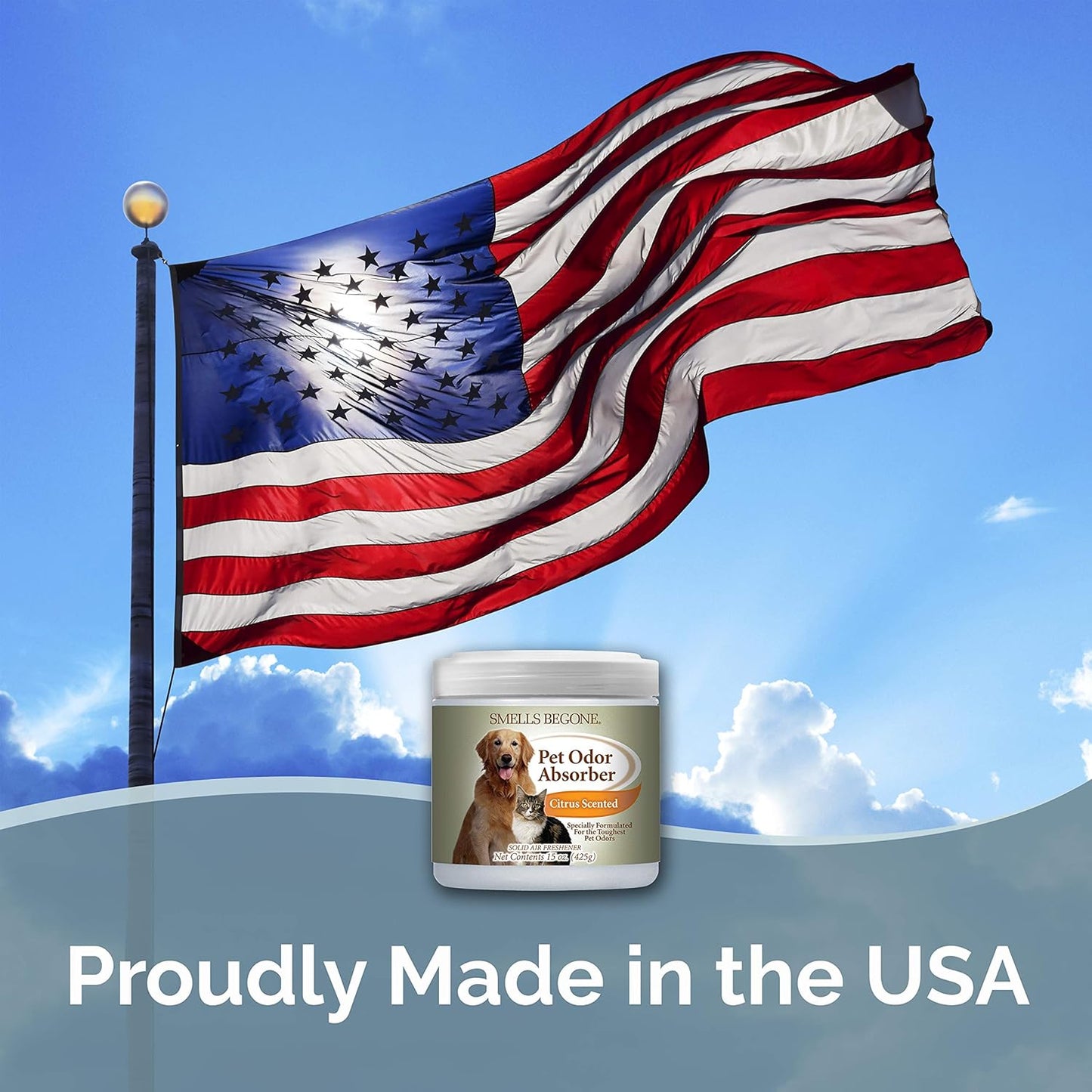 SMELLS BEGONE Air Freshener Pet Odor Absorber Gel - 15 oz, Pack of 2 - Absorbs and Eliminates Odor in Pet Areas, Bathrooms, Cars, & Boats - Made with Essential Oils - Citrus Scent